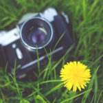 camera-photographer-yellow-photography