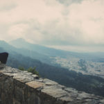 man-person-wall-sitting